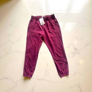 Women’s  Jogger Pants size small petite New With tags BR standard brand